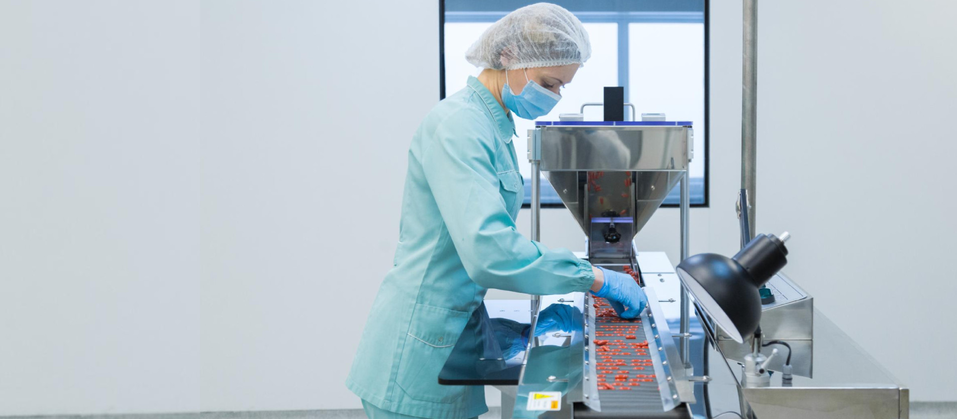 Food Processing