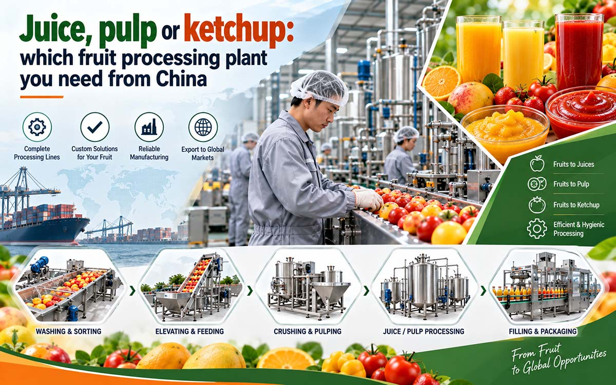 Juice, pulp or ketchup: which fruit processing plant you actually need