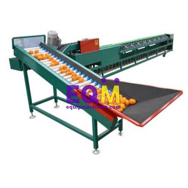 Automatic Fruit And Vegetable Sorting Machine